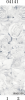 04141 Дизайн- панели PANDA "Цветы" Фон 2 шт (1,8м)