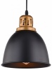 A4245SP-1BK, Подвесной светильник Arte Lamp Eurica A4245SP-1BK