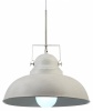 A5213SP-1WG, Подвесной светильник Arte Lamp Martin A5213SP-1WG