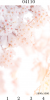 04110 Дизайн- панели PANDA "Сакура" Панно 4 шт (1,8м)
