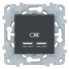 NU541854, UNICA NEW розетка USB, 2-местная, 5 В / 2100 мА, антрацит