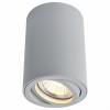 A1560PL-1GY, Накладной светильник Arte Lamp 1560 A1560PL-1GY