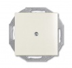 2CKA001715A0316, Заглушка с суппортом, Basic 55, chalet-white, 2538-96-507