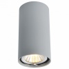 A1516PL-1GY, Накладной светильник Arte Lamp 1516 A1516PL-1GY