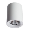 A5118PL-1WH, Накладной светильник Arte Lamp Facile A5118PL-1WH