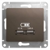 GSL000833, GLOSSA USB РОЗЕТКА,5В/2100мА, 2х5В/1050мА, механизм, ШОКОЛАД