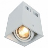 A5942PL-1WH, Накладной светильник Arte Lamp Cardani A5942PL-1WH